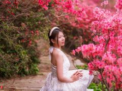 -木兰云雾山