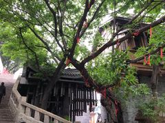 -重庆十八梯传统风貌区