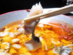 -雲蜀龙阁·金牌水煮鱼(方庄店)