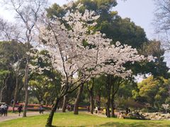 -无锡梅园公园