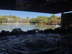 -春晖园度假酒店温泉