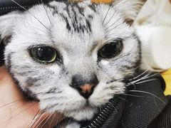-美联众合动物医院·24h京西诊疗中心