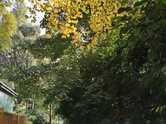 -成都市活水公园