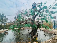 -西霞口神雕山野生动物世界