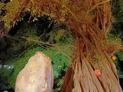-云水谣景区