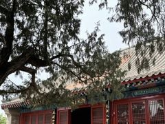 -大运河源头遗址公园