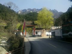 -王顺山国家森林公园