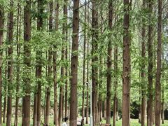 -江苏师范大学(泉山校区)