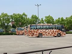 -上海野生动物园