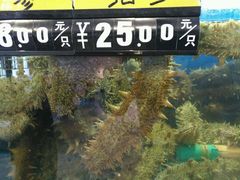 -渔满仓海鲜楼