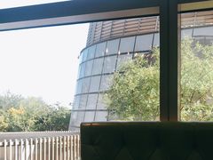 -油梨树AVOCADO TREE(望京店)