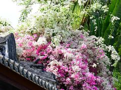 -深圳国际园林花卉博览园