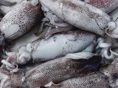 -众味海鲜大排档·活海鲜·潮汕味(南澳店)