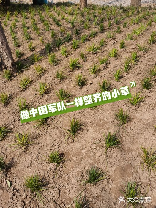 郑东新区湿地公园图片