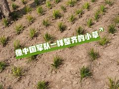 -郑东新区湿地公园