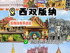 -西双版纳原始森林公园
