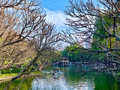 -晓港公园