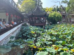 -上海醉白池公园