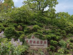 -棒棰岛宾馆景区