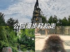 -成都动物园