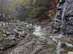 -龙道沟景区