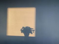 -小樽洋菓子铺LeTAO(华润时代店)