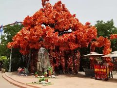 -天津方特欢乐世界