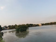 -海上田园