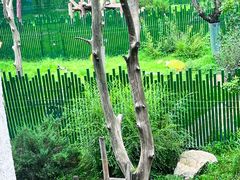 -沈阳森林动物园
