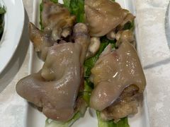 -丁老爷子苏香圆