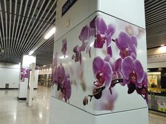 -伊犁路(地铁站)