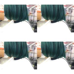 -SALON V