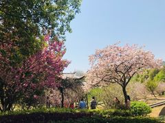 -白马涧龙池景区