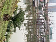 -枫香湖儿童公园