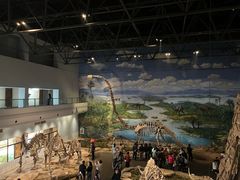 -自贡恐龙博物馆