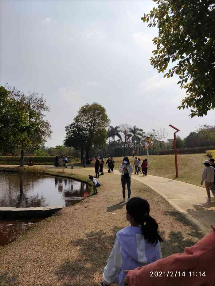 万江龙湾湿地乐跑公园图片