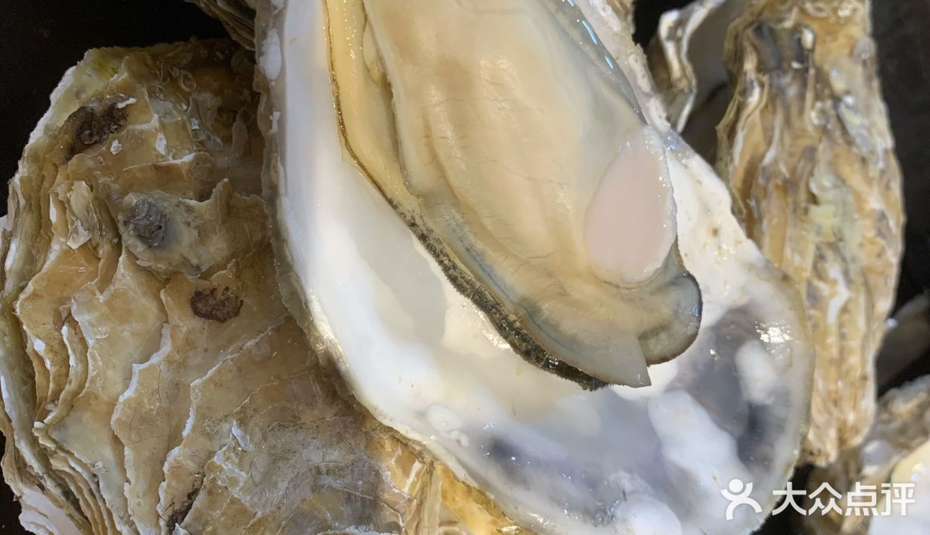手掌一样大只生蚝🦪
