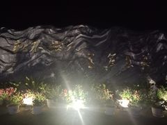 -西南林业大学(白龙校区)