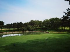 -龙熙温泉高尔夫俱乐部