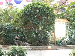 -金隅凤山酒店