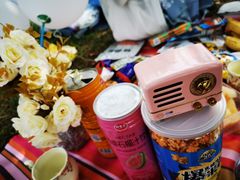 -尚贤河湿地