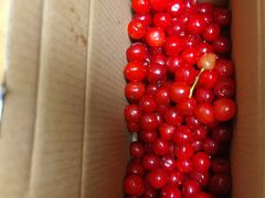 -北宅大永樱桃采摘基地(崂山总部)