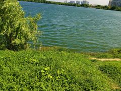 -金银湖国家城市湿地公园