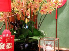 -蝶园·装修中(BFC外滩金融中心店)