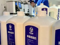 -西琳姑娘·新疆冰淇淋酸奶茶(南开大悦城店)