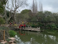 -上海醉白池公园