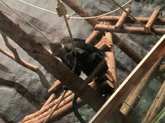 -武汉动物园