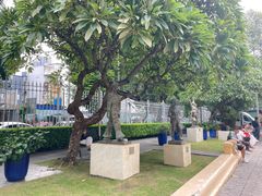 -胡志明市美术馆