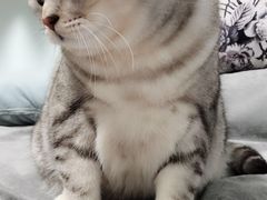 -Pets First伊珊娜洗护·精致美容·家庭式寄养(新会路店)