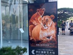 -罗红摄影艺术馆